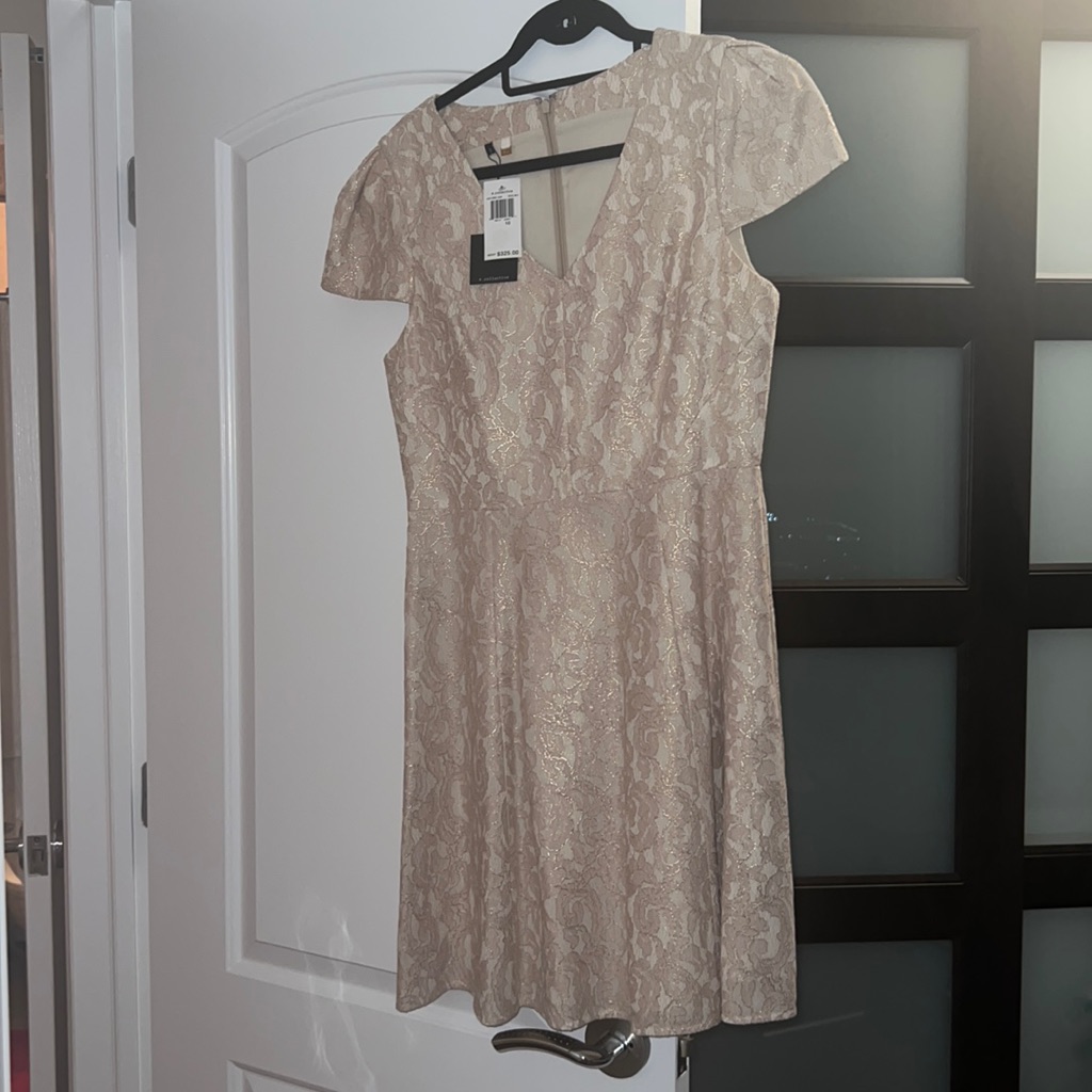 4.Collective Pink And Gold Dress